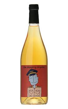 Intellego The sleeping co-pilot