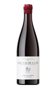 Daniel Landi Las Uvas de la Ira
