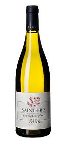 Clotilde Davenne Saint Bris Sauvignon Blanc