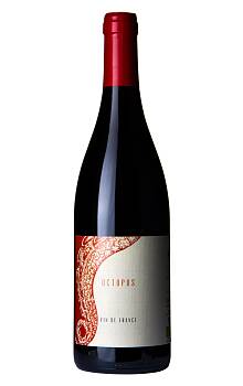 L'Austral Octopus Rouge