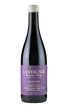 Yann Bertrand Beaujolais Village Lantignié