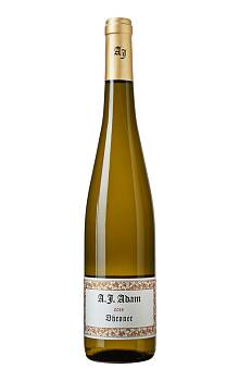 A.J. Adam Dhroner Riesling Trocken