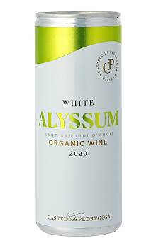 Pedregosa Alyssum White