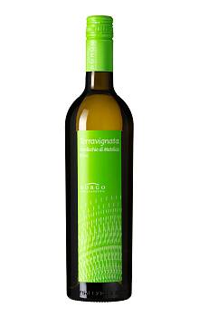 Terravignata Verdicchio di Matelica