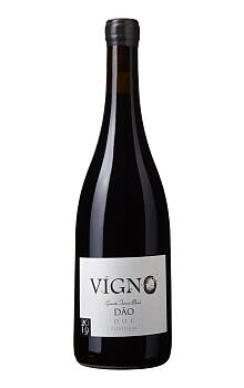 Freire Lobo Vigno Granite Terroir Blend Dão Tinto