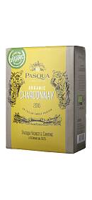 Pasqua SanZeno Chardonnay