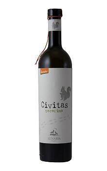 Orsogna Lunaria Terre di Chieti Pecorino
