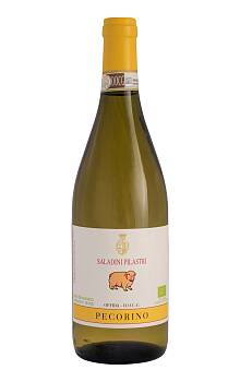 Saladini Pilastri Offida Pecorino