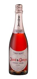 Juve y Camps Brut Rose