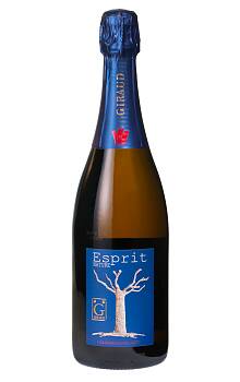 Henri Giraud Esprit Nature