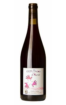 Grandes Vignes 100% Pineau d'Aunis