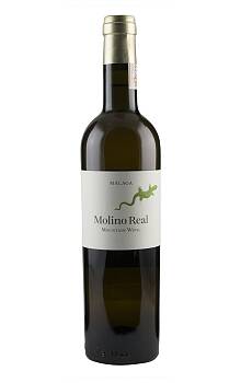 Telmo Rodríguez Molino Real