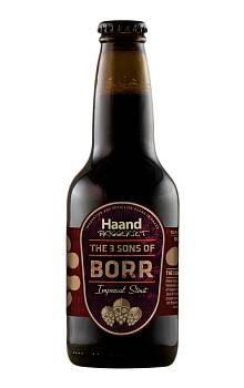 The 3 Sons of Borr