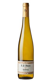 A.J. Adam Dhroner Hofberg Riesling Spätlese
