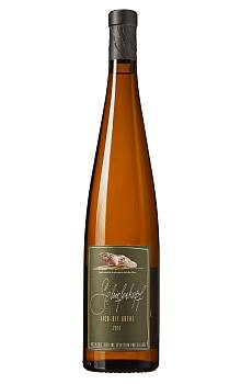 Schieferkopf Lieu-dit Buehl Alsace Riesling