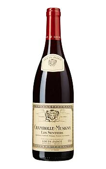 Louis Jadot Chambolle-Musigny 1er Cru Les Sentiers
