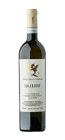 Santa Caterina Salidoro Monferrato Bianco