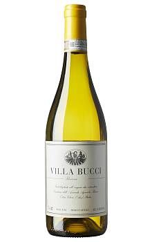 Bucci Verdicchio dei Castelli di Jesi Classico Superiore Riserva Villa Bucci