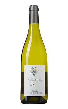 Tinel-Blondelet Pouilly-Fumé Genetin