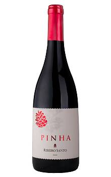 Pinha Ribeiro Santo