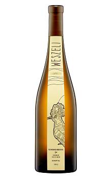 Weszeli Schenkenbichl Kamptal Grüner Veltliner Reserve
