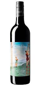 Climbing Cabernet Sauvignon