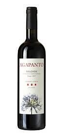 Podere Conca Agapanto Bolgheri