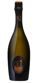 De Sousa Mycorhize