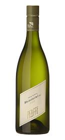 Pfaffl Weinviertel Zeisen Grüner Veltliner