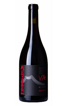 Cornelissen Munjebel VA