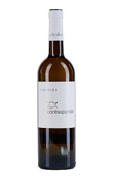 Adega Eidos Contraaparede