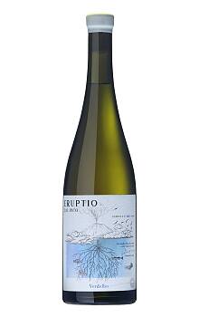 Eruptio Verdelho