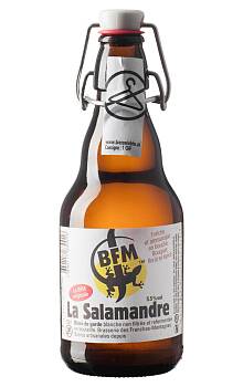 BFM La Salamandre