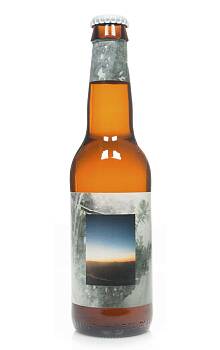 To Øl Djuicy IPA