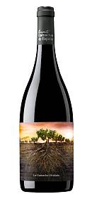 Proyecto Garnachas de España La Granatxa Olvidada de Aragon