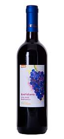 Fatt. di Vaira Quotidiano Rosso