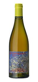 Matassa Blossom