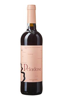 Quinta da Costa do Pinhão Peladosa Douro Tinto