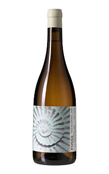 Vale da Capucha Fossil Branco
