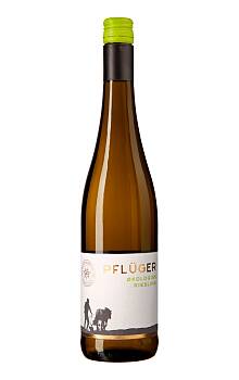 Pflüger Buntsandstein Riesling Trocken