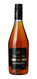 Tronnes Napoléon