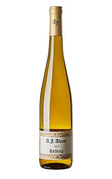 A.J. Adam Hofberg Riesling Trocken GG