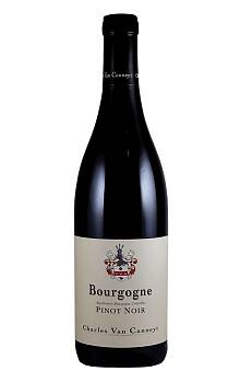Charles van Canneyt Bourgogne Pinot Noir