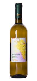 Fatt. di Vaira Quotidiano Bianco