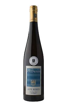 Wittmann La Borne Riesling trocken Alte Reben 2012