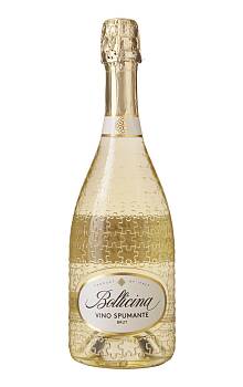 Bollicina Spumante Brut