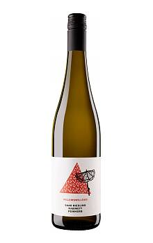 Willems-Willems Saar Riesling Kabinett feinherb