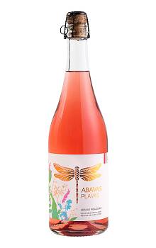 Abavas Plavas