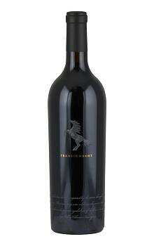 Black Stallion Transcendent