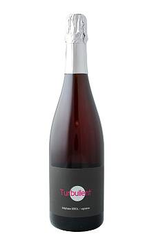 Serol Turbullent